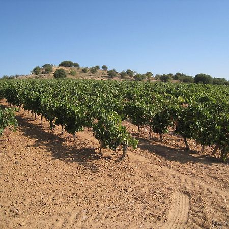 Hotel Torremilanos Aranda de Duero Eksteriør billede