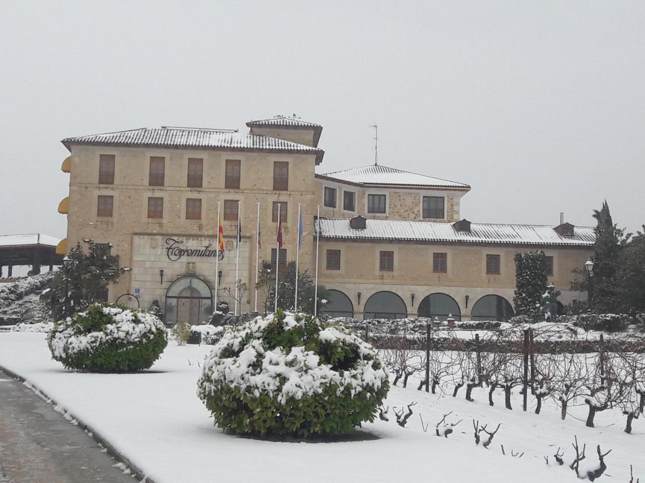 Hotel Torremilanos Aranda de Duero Eksteriør billede