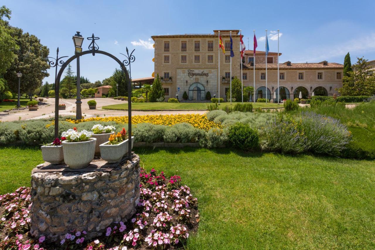 Hotel Torremilanos Aranda de Duero Eksteriør billede