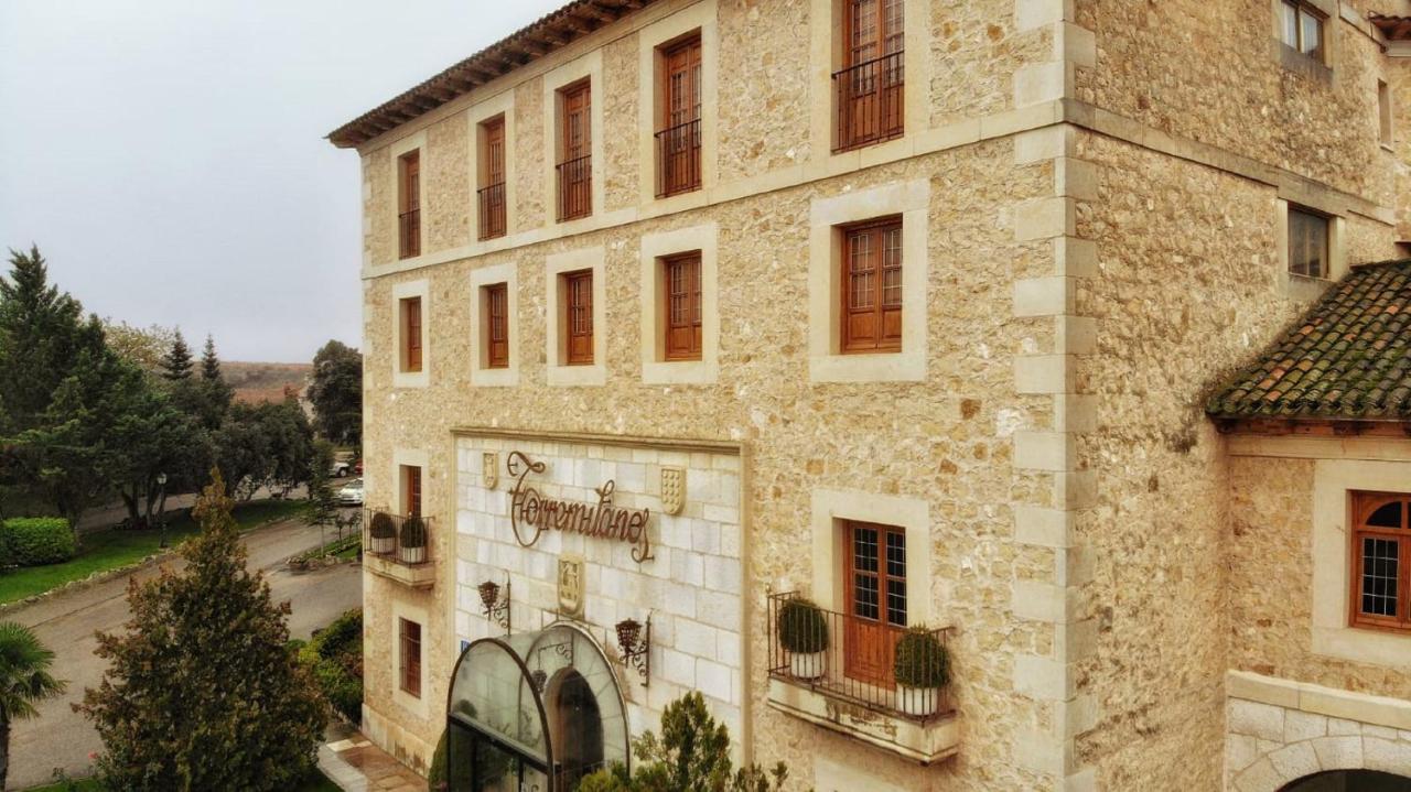 Hotel Torremilanos Aranda de Duero Eksteriør billede