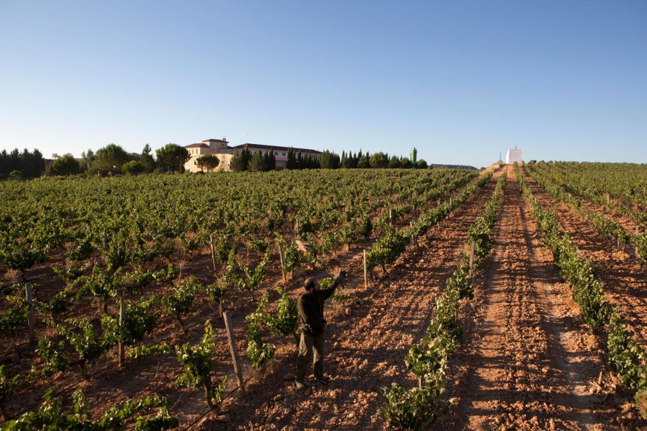 Hotel Torremilanos Aranda de Duero Eksteriør billede